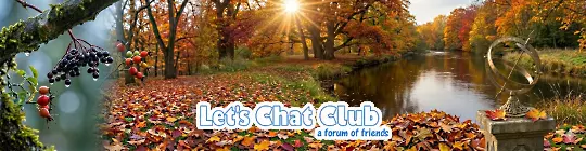 Pensioners forum LetsChat