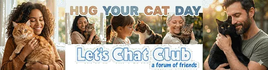 Pensioners forum LetsChat