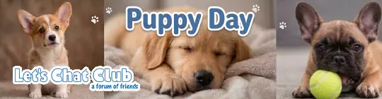 Pensioners forum LetsChat