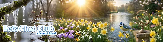 Pensioners forum LetsChat